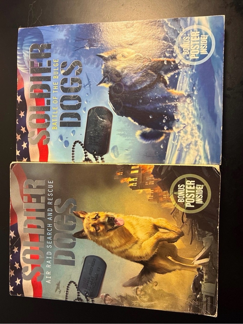 Book Bundle - Blue and Brown Covers